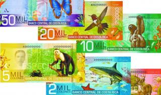 哥斯达黎加是白人吗